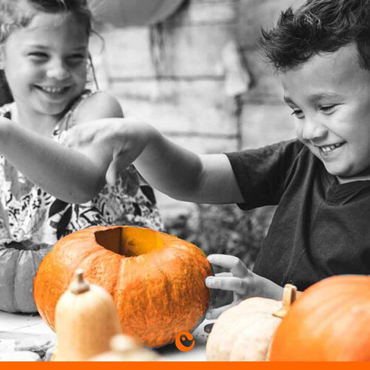 Thanksgiving Projects for Kindergarten: Fun DIY Ideas for Families: